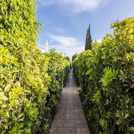 Apartment Private Solarium Garden Bungalow *
